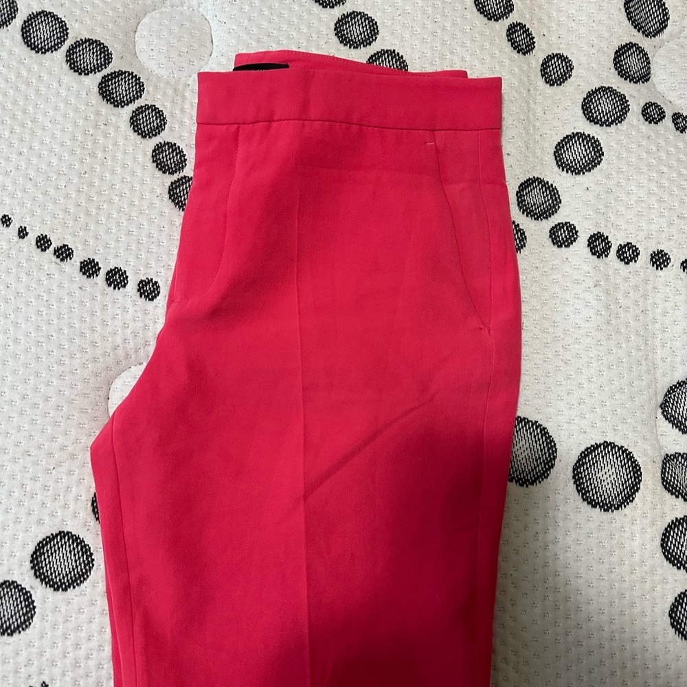 Zara Bold Pink Pants